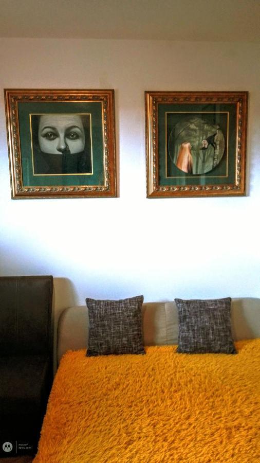 Nenad Jevtic Apartment Zlatibor Ngoại thất bức ảnh