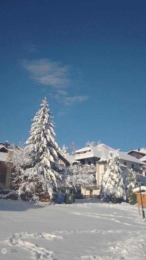 Nenad Jevtic Apartment Zlatibor Ngoại thất bức ảnh