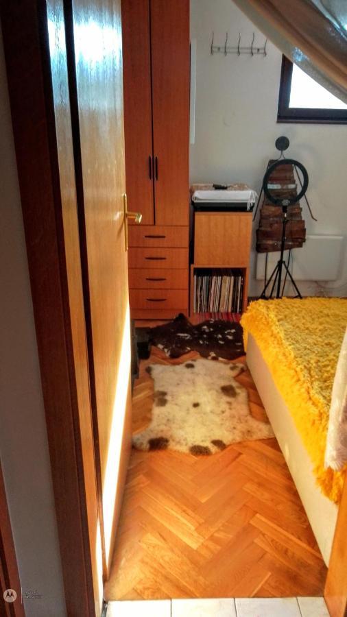 Nenad Jevtic Apartment Zlatibor Ngoại thất bức ảnh